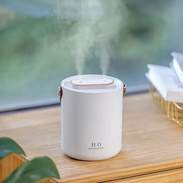 H223 Dual Mist Air Humidifier 03